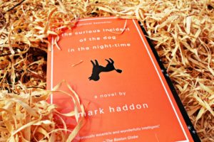 The Curious Incident of the Dog in the Night TIme Picture