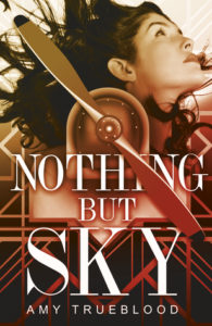 book review nothing but sky by amy trueblood