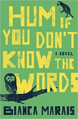 Book Review Hum If You Don't Know the Words by Bianca Marais