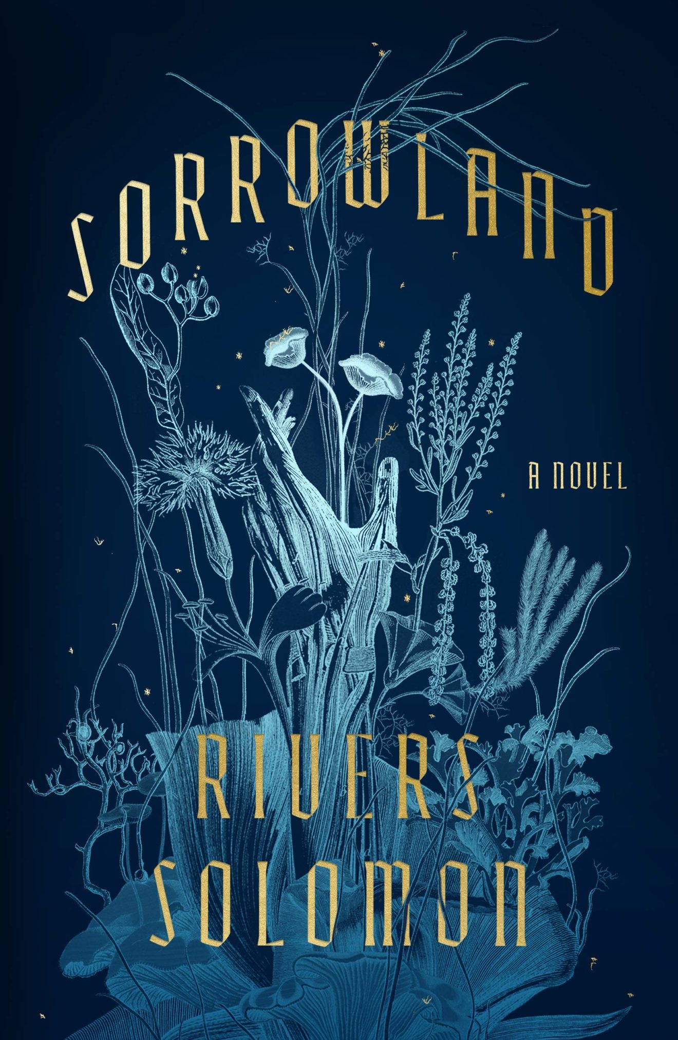 sorrowland book review